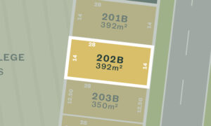 Lot 202B