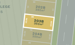 Lot 203B